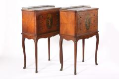 Pair 19th Century Adams Style Satinwood Tables Chests - 1574360
