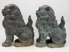 Pair Bronze Foo Dogs early 20th century - 3247029