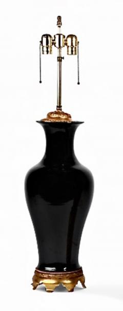 Pair Chinese Export Mirror Black Lamps - 4175352