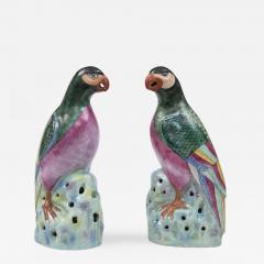 Pair Chinese Famille Rose Parrots - 267862