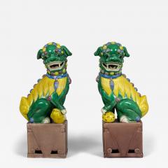 Pair Chinese Porcelain Foo Dogs - 3591203