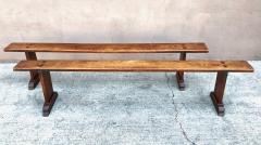 Pair French Chestnut Long Benches Early 19th C  - 1437723