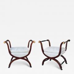 Pair French Empire Mahogany Curule Benches with Ebonized Gilt Highlights - 3973305