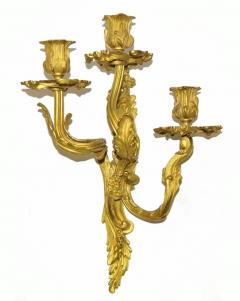 Pair French Louis XV style Gilded Bronze Sconces - 1891463