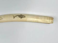 Pair Inuit Seal and Whale Scrimshaw Walrus Ivory Tusks - 3605487