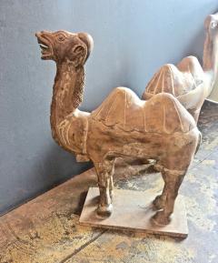 Pair Large Antique Chinese Tang Style Carved Camels - 1439302