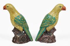 Pair Large Chinese Yellow Green Parrots - 4546652