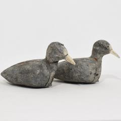 Pair Late 19th Century French Decoys Cork Coots - 4108942