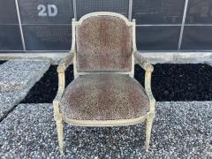 Pair Of 19th Century French Louis XVI Style Chairs - 3938559