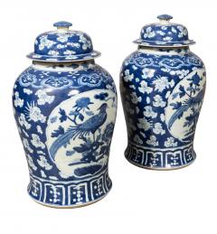 Pair Of Chinese Blue And White Covered Jars - 4723539