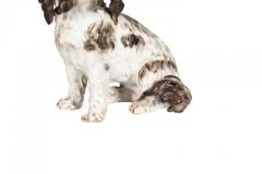 Pair Of European Porcelain Figures Of Spaniels - 4139956