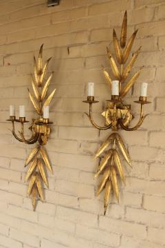 Pair Of French Midcentury Three Arm Metal And Gold Leaf Sconces - 2450668