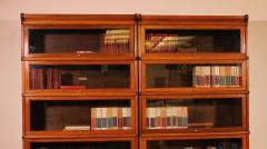 Pair Of Globe Wernicke Bookcases In Oak 19th Century - 3585379