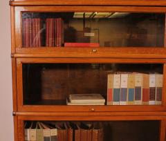 Pair Of Globe Wernicke Bookcases In Oak 19th Century - 3585384