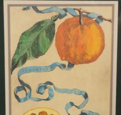 Pair Of Hand Colored Engravings Of Citrus By Giovanni Baptista Ferrari - 4139933