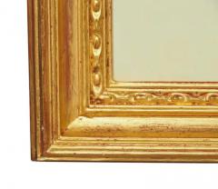 Pair Of Hand Colored Engravings Of Parrots - 4141173