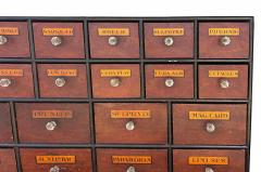 Pair Of Large English Faux Bois Apothecary Chests - 4645482