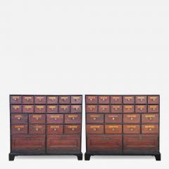 Pair Of Large English Faux Bois Apothecary Chests - 4648496
