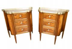 Pair Of Louis XVI Style Mahogany Petit Commodes - 4243484
