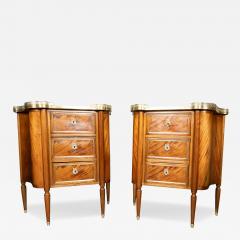 Pair Of Louis XVI Style Mahogany Petit Commodes - 4250110