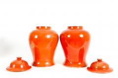 Pair Oriental Porcelain Decorative Urn - 1130285