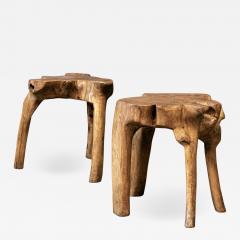 Pair Primitive Teak Root Side End Tables - 1942231