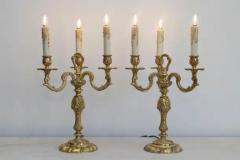 Pair of 18th Century French Candelabras - 4001767