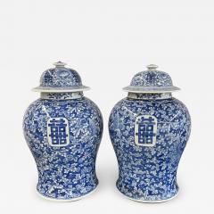 Pair of 19th Century Blue and White Lidded Temple Jars Urns - 2927733