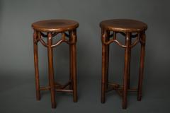 Pair of 19th Century Chinese Elmwood Stands - 1552129