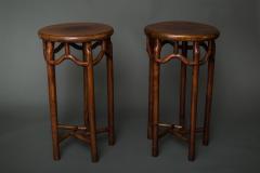Pair of 19th Century Chinese Elmwood Stands - 1552143