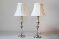 Pair of 19th Century French Lamps - 3945821