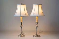 Pair of 19th Century French Lamps - 3945823