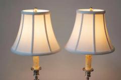 Pair of 19th Century French Lamps - 3945831