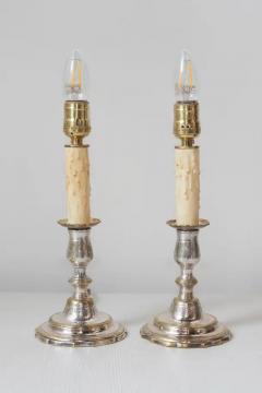 Pair of 19th Century French Lamps - 3945910