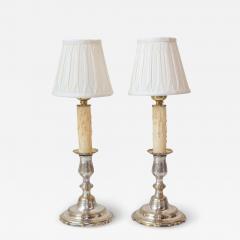 Pair of 19th Century French Lamps - 3947986