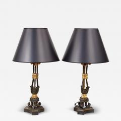 Pair of 19th Century Gilt and Patinated Bronze Lamps - 4383791