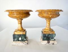 Pair of 19th Century Italian Neoclassical Tazze in Polychrome Marbles - 2192832