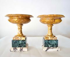 Pair of 19th Century Italian Neoclassical Tazze in Polychrome Marbles - 2192834