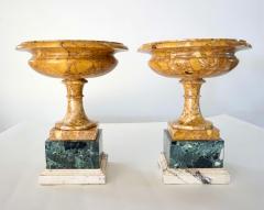 Pair of 19th Century Italian Neoclassical Tazze in Polychrome Marbles - 2192836