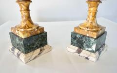 Pair of 19th Century Italian Neoclassical Tazze in Polychrome Marbles - 2192841