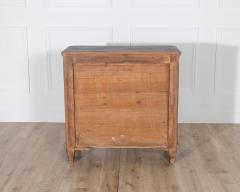 Pair of 19th Century Swedish Painted Chests of Drawers - 4223175