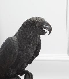 Pair of 20th Century Life Size Bronze Macaw Birds - 4226470