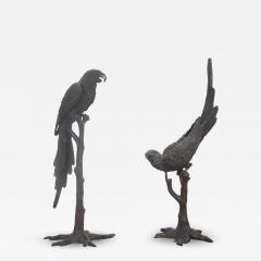 Pair of 20th Century Life Size Bronze Macaw Birds - 4226981
