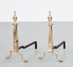 Pair of Adam Style Etched Brass Andirons - 3886946