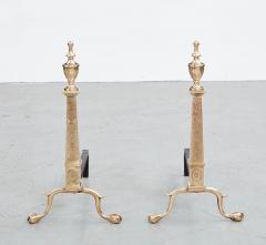 Pair of Adam Style Etched Brass Andirons - 3886958