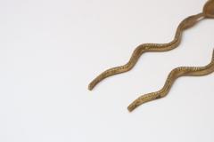 Pair of Antique Brass Snake Form Serpentine Demitasse Spoons - 4308365