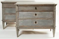 Pair of Antiqued Neoclassic Painted Chests Contemporary - 3491112