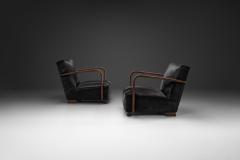 Pair of Armchairs in Ponyskin Europe First half of the 20th Century - 4563412