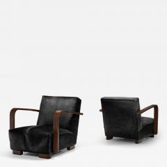 Pair of Armchairs in Ponyskin Europe First half of the 20th Century - 4569824