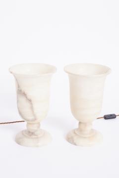 Pair of Art Deco Alabaster Urn Table Lamps - 3705992